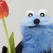 ひろこんぶ(*´꒳`*)