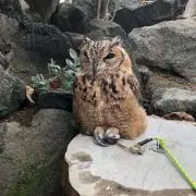 えむ1205の画像