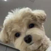 こうちゃん