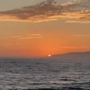 yの画像