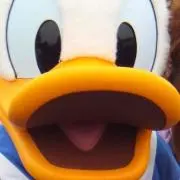 SR♡の画像