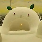 だいちゃの画像