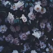 断捨離中(^ ^)