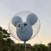 Nの画像