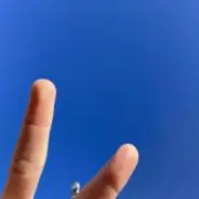 manatyの画像