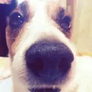 てっつん☆