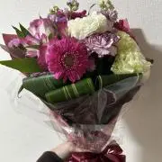 のんのんの画像