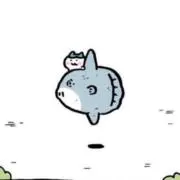 ほちの画像