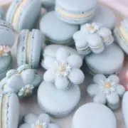 るいかの画像