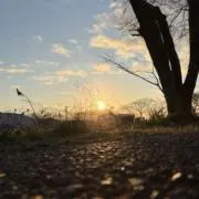 イマジナリーの画像