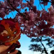 わかめの画像
