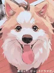 ta_chanko  【プロフ必読】の画像