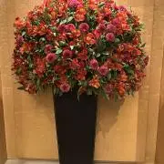 ごん