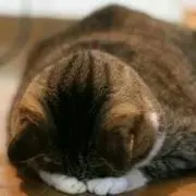 えみりんの画像