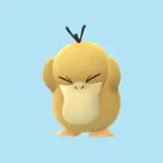 なーちゃんの画像