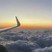 ポンデリオ★発送7月16日以降になりますの画像