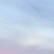 007