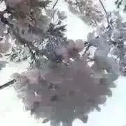 bokuchanプロフ一読お願い致しますの画像