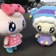 かるびの画像