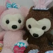 ぴょんきちの画像