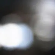 羊の画像