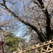 ぱんの画像
