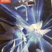 カイトキングの画像