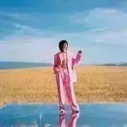 Pikの画像