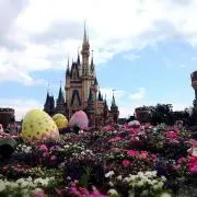 ぽっかれもん。
