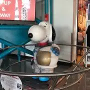 ちりの画像