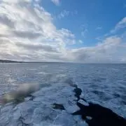 ナナの画像