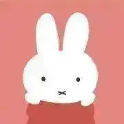あいりんの画像