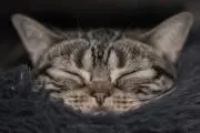 kazukenの画像