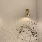 ｈａｐｐｏｏの画像