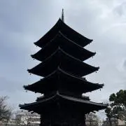 SUGURUの画像