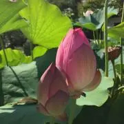 mt☆プロフィール必読の画像