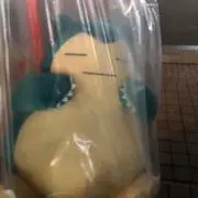 マングース