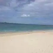 ひかるの画像