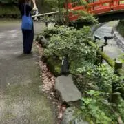 わこの画像