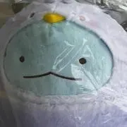 サヤカ