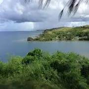 ウィッチ