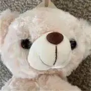 あっちゅんの画像