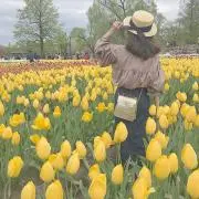 cocomiの画像