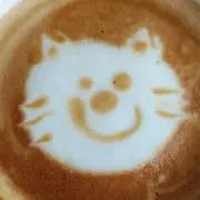 のんの画像