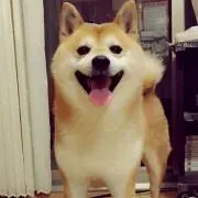 きくまる箪笥