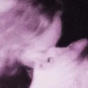 rの画像