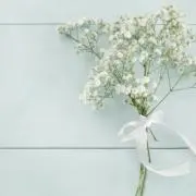 mkの画像