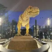 ゆんこの画像