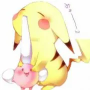SD