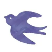 rikaの画像